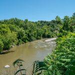 18699-jasmine-road-2