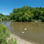 18699-jasmine-road-6