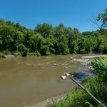 18699-jasmine-road-7