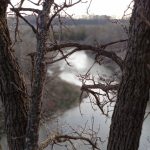 tree-and-river