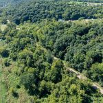 47-web-or-mls-48818-belgrade-township-193